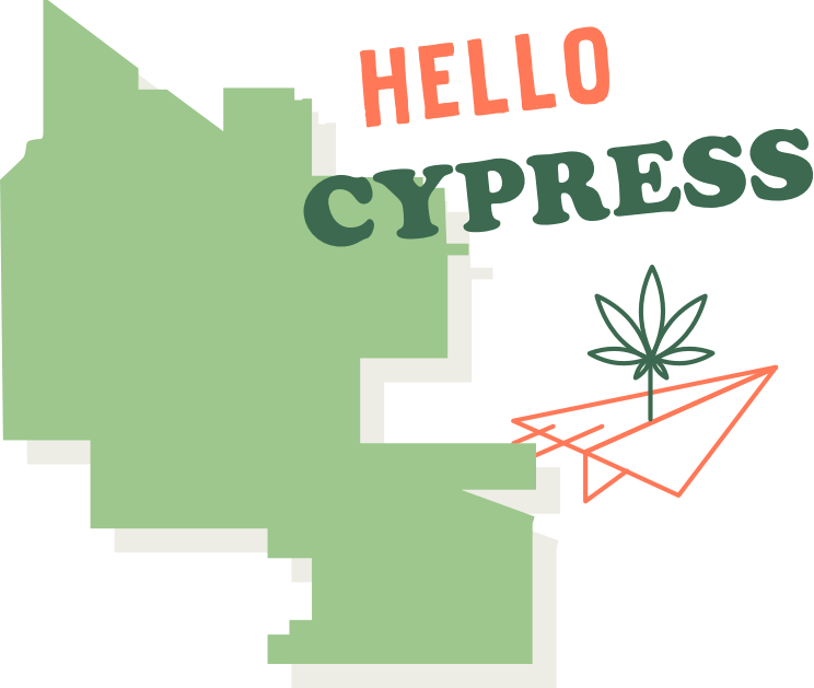 cypress