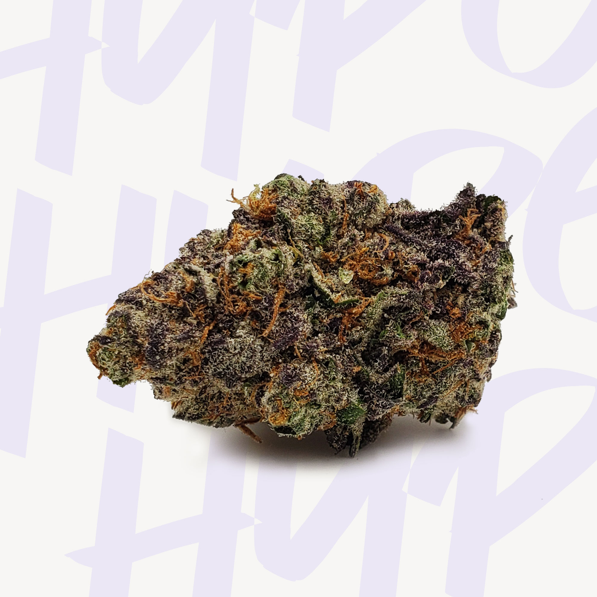 Mimosa