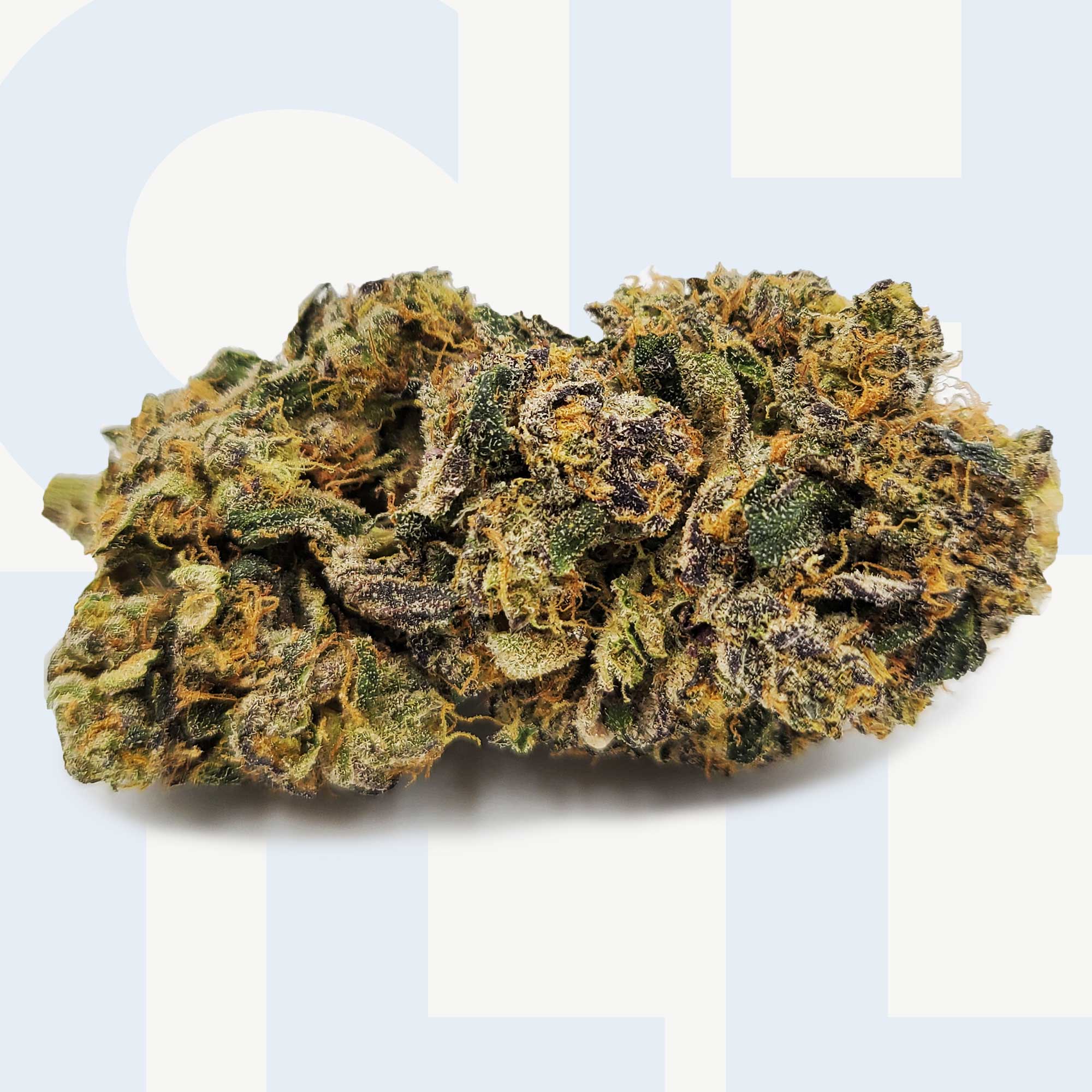 Platinum Reserve: Gelato