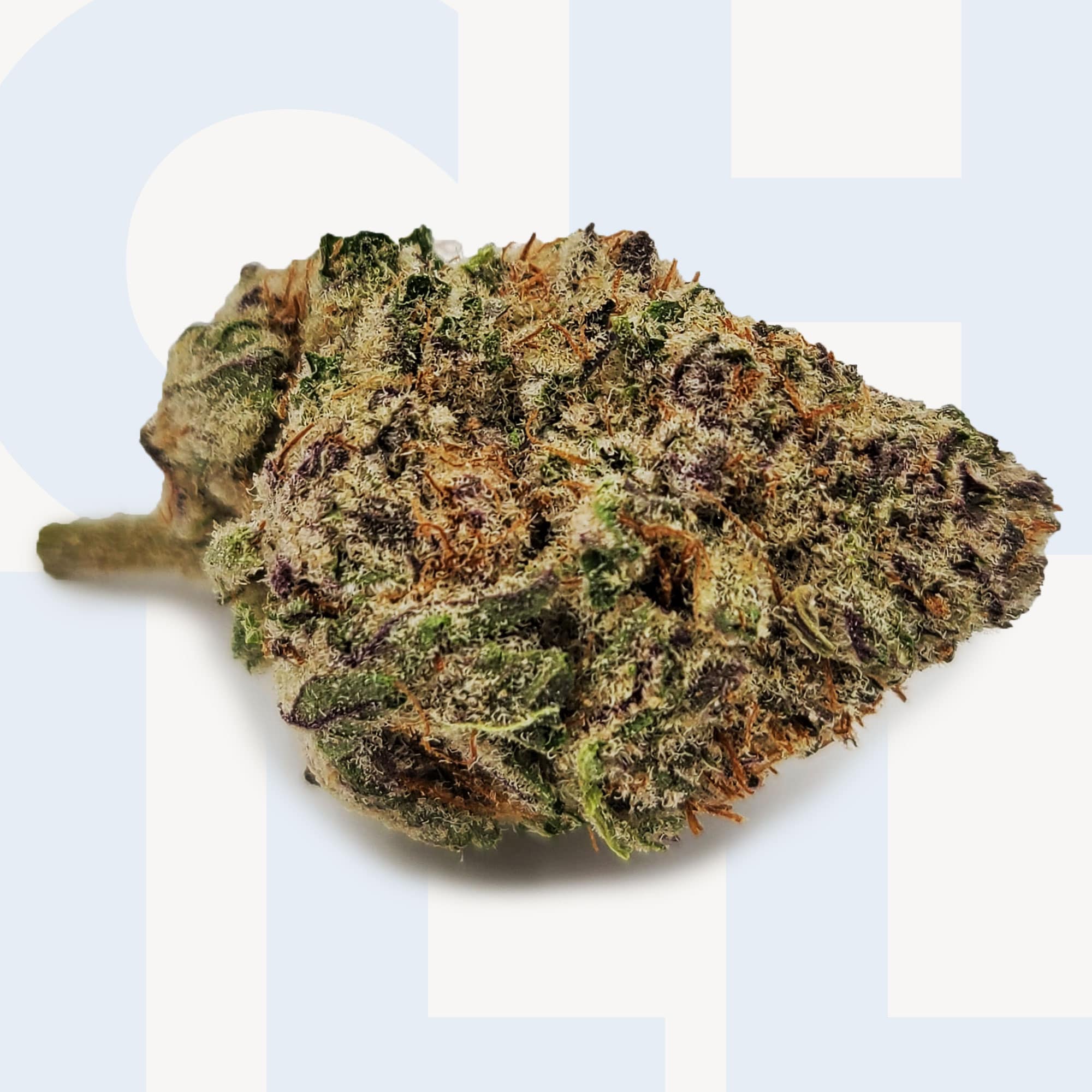 Reserve: Slurricane
