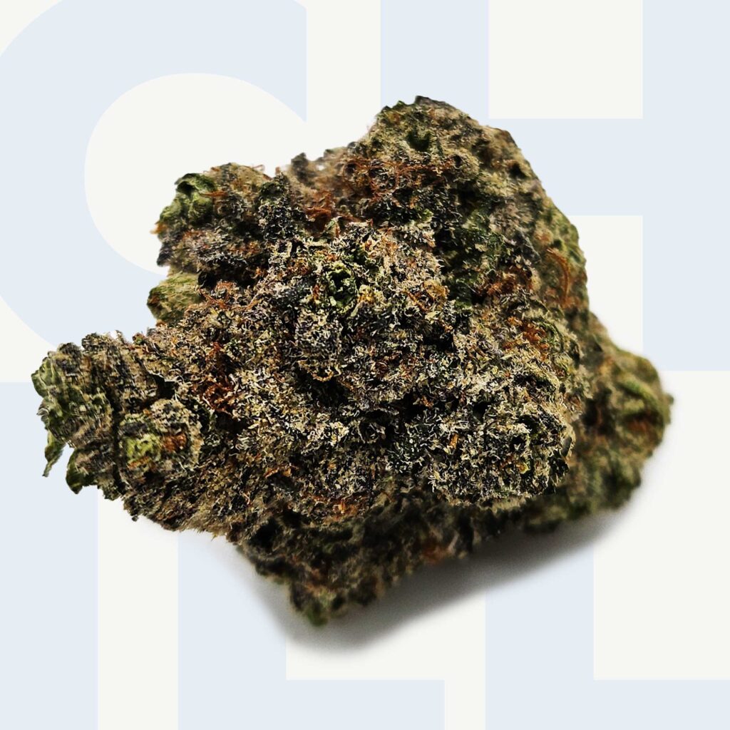 Shop Moon Rocks | Flybuds