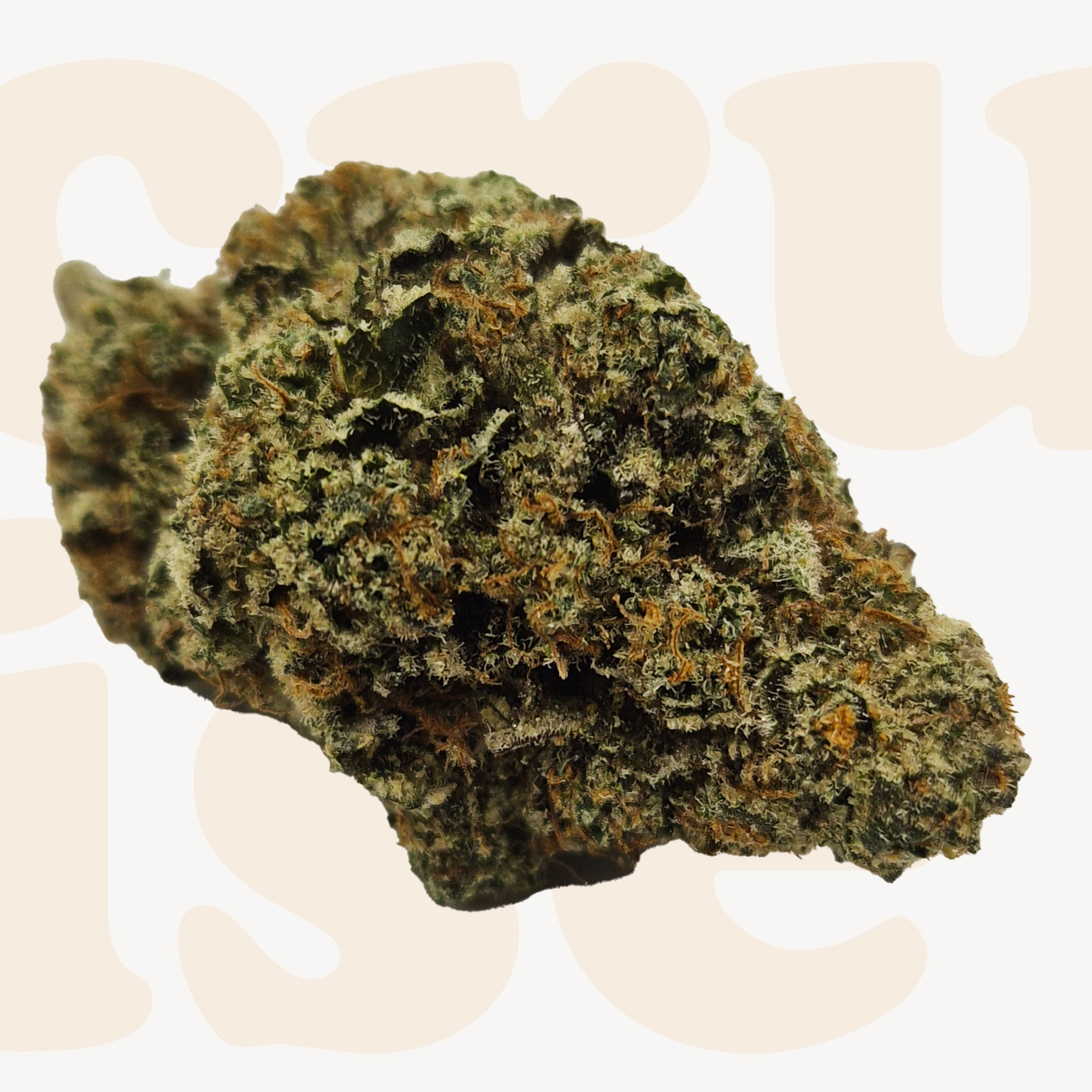 Platinum Reserve: Cereal Milk (38% THC)