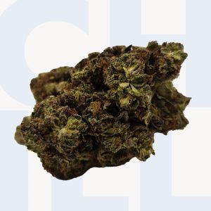 Outdoor: Larry OG (22% THC)