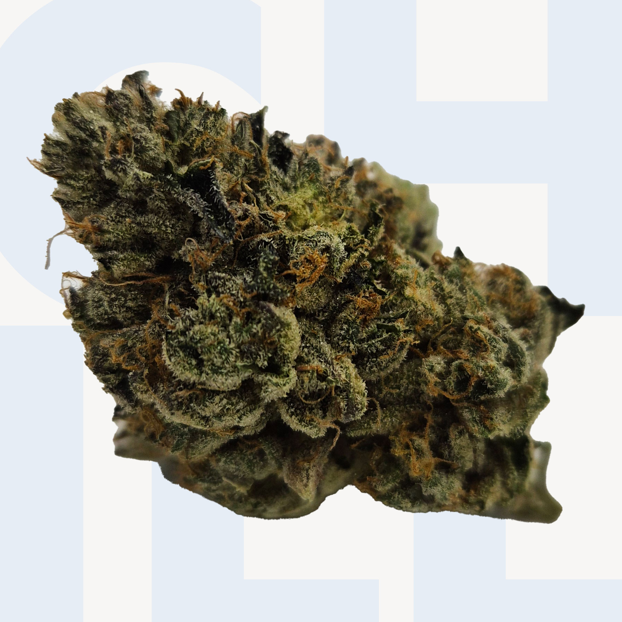 Platinum Reserve: Kush Mountain (39% THC)